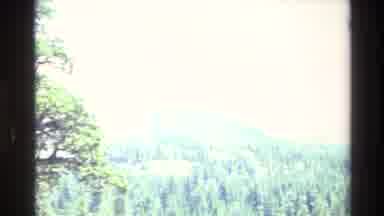 Big Sur California USA (1980): Large Hill Over A Dense Forest