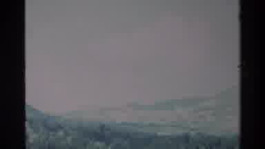 Big Sur California USA (1980): Camera Fanning A Forest Of Pine Trees From Birds