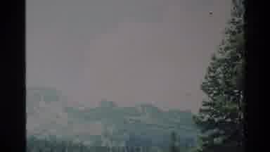 Big Sur California USA (1980): Mountain Landscape And Nearby Growing Flowers And