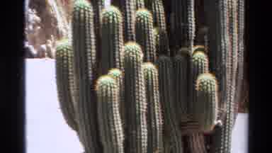 Big Sur California USA (1980): Cactus Desert With White Sand Tall Rocks Heat Hot