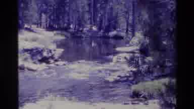 Big Sur California USA (1980): Beautiful Stream Flowing Through A Peaceful And