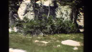 Grand Teton Wyoming USA (1980): Furry Animal Walking Through Grassy Field On