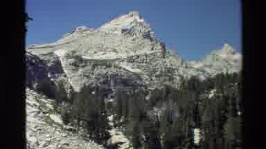 Grand Teton Wyoming USA (1980): Mountain Wrapped With Green Pine Trees And Grass