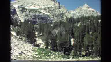 Grand Teton Wyoming USA (1980): Forest Full Of Green Pine Trees Along A Large