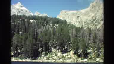 Grand Teton Wyoming USA (1980): Mountain Wrapped With Green Pine Trees And Grass
