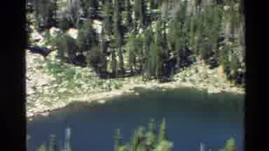 Grand Teton Wyoming USA (1980): Tall Trees And Lush Grass Surround Large Circular