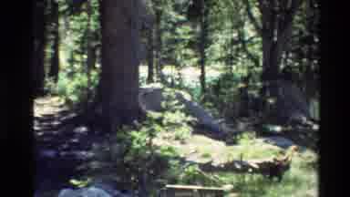 Grand Teton Wyoming USA (1980): Campsite And Hiking Trail Sign In The Grand Tetons