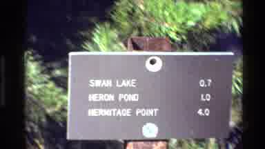 Grand Teton Wyoming USA (1980): Brown And White Outdoor Sign On A Bright Sunny Day