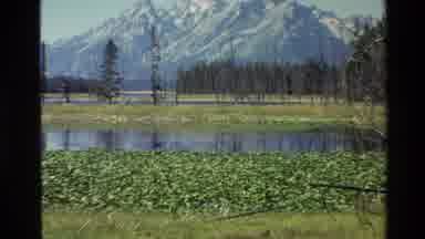 Grand Teton Wyoming USA (1980): Very Clear Lake