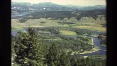 Grand Teton Wyoming USA (1980): Forests Mountains And Wetland
