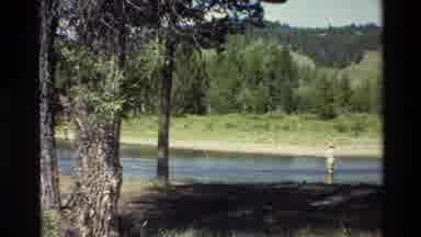 Grand Teton Wyoming USA (1980): The Animal Walking In The Road