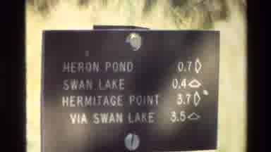 Grand Teton Wyoming USA (1980): Swan Lake Is Showing Their Beautiful View Around