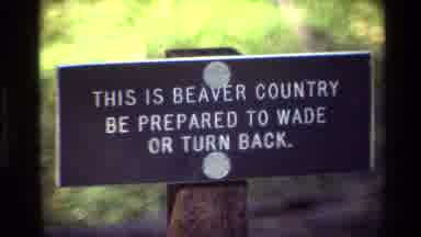 Grand Teton Wyoming USA (1980): Beaver Country Warning Sign To Be Prepared To Wade