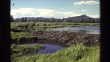 Grand Teton Wyoming USA (1980): Nature Scene Showing A Lake Trees And Mountains In