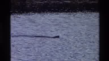 Grand Teton Wyoming USA (1980): An Object Moves Through The Water Of A Small Lake