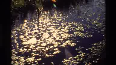 Grand Teton Wyoming USA (1980): Much More Can Be Living Beneath The Surface