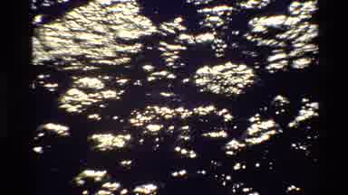 Grand Teton Wyoming USA (1980): Lots Of Rocks Of All Sizes Under Trees In The
