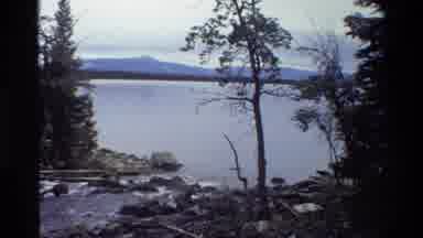 Grand Teton Wyoming USA (1980): Lake With A Huge Big Dark Brown Horse Walking