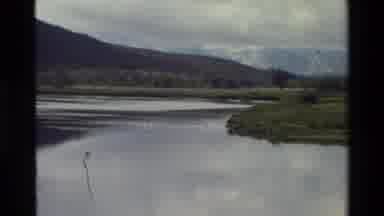 Grand Teton Wyoming USA (1980): White Birds Swimming In A River In A Valley With