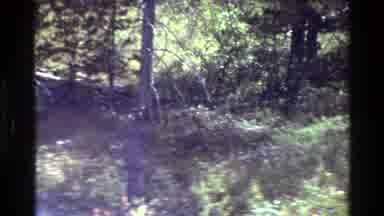 Grand Teton Wyoming USA (1980): Scrubby Bushland And You Can Vaguely See Someone