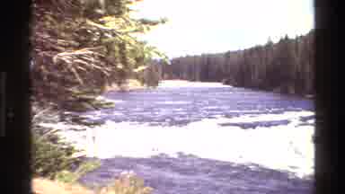 Grand Teton Wyoming USA (1980): Tall Trees Along A Riverbank And Waterfall On