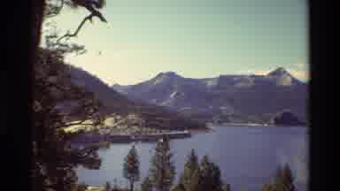 British Columbia USA (1981): People Are Enjoying The Nature Trees Plants