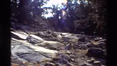 British Columbia USA (1981): Group Of People Hiking Over Rocks In Wooded Scenery