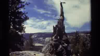 British Columbia USA (1981): Trees To Be Cut Down