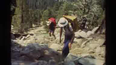 British Columbia USA (1981): Group Of Explorers Hiking In The Forest Among The
