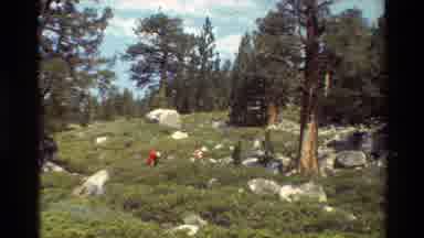 British Columbia USA (1981): Hikers In The Wilderness