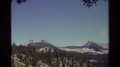 British Columbia USA (1981): View Tree Branches From Cliff Overlooking Sky Steep