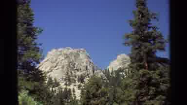 British Columbia USA (1981): Mountain Wrapped With Green Pine Trees