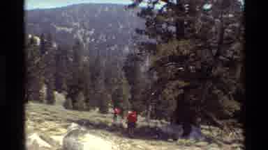British Columbia USA (1981): Two People Hiking Toward Trees And Mountains During