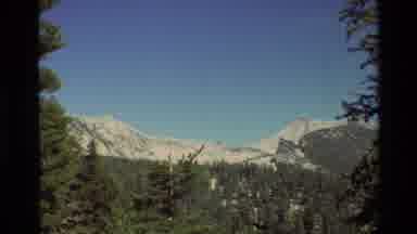 British Columbia USA (1981): Mountain Of Ice Some Plants And Stones