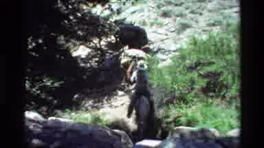 British Columbia USA (1981): Man Leading Horses On Horseback