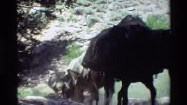 British Columbia USA (1981): Pack Miles Climbing A Mountains With Hikers