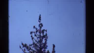 British Columbia USA (1981): Spring Has Sprung On The Mountain Today