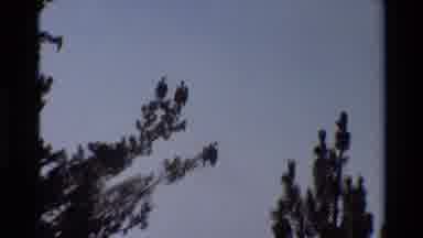 British Columbia USA (1981): Hikers Wearing Red Shirts Walking On Rock Path On A