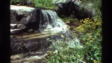 British Columbia USA (1981): Waterfall And Flowers