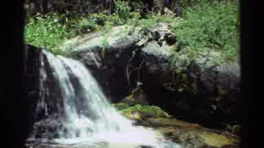 British Columbia USA (1981): Brisk Running Stream On A Bright Sunny Day