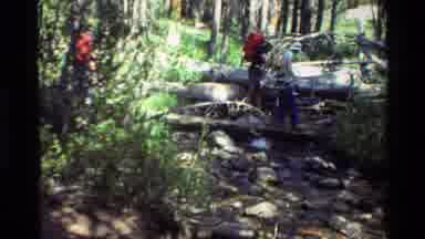 British Columbia USA (1981): Group Of Hikers In A Red Backpacks Walking In The