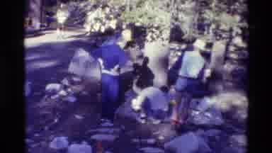 British Columbia USA (1981): A Group Of People Picnicking In The Woods With Trees