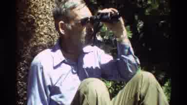 British Columbia USA (1981): Man Sits At The Base Of A Tree And Watches Birds In A