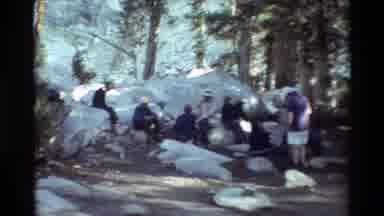 British Columbia USA (1981): Camp Amid The Trees