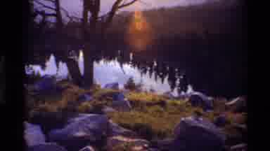 British Columbia USA (1981): Trees Mountain Nature Life Moments Landscape