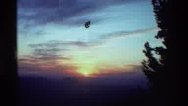 British Columbia USA (1981): Skyline With Sun Setting Bare Branched Tree In One