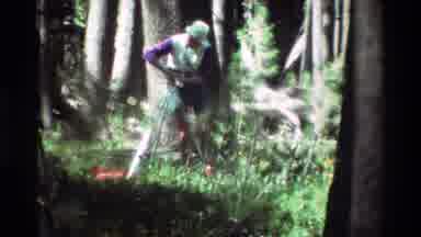 British Columbia USA (1981): Man In Front Of Large Tree In Forrest Wearing A Had