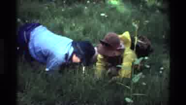 British Columbia USA (1981): Two Adults Researching Yellow Wildflower In Field
