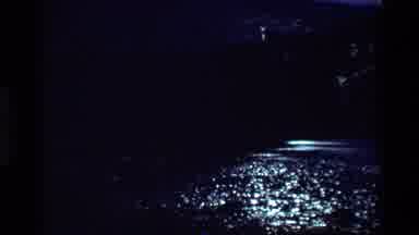 British Columbia USA (1981): Sun Shining On A Flowing River Surrounded By Trees