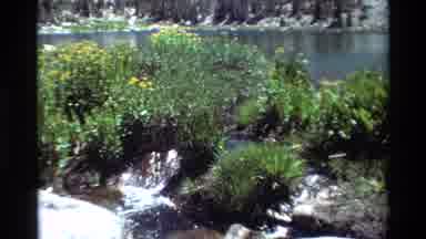 British Columbia USA (1981): Water Flowing From The Lake To The Side Behind The